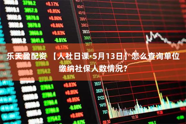 乐天盈配资 【人社日课·5月13日】怎么查询单位缴纳社保人数情况？