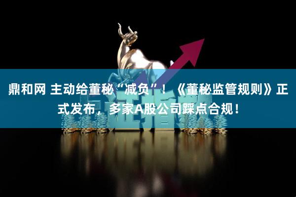鼎和网 主动给董秘“减负”！《董秘监管规则》正式发布，多家A股公司踩点合规！