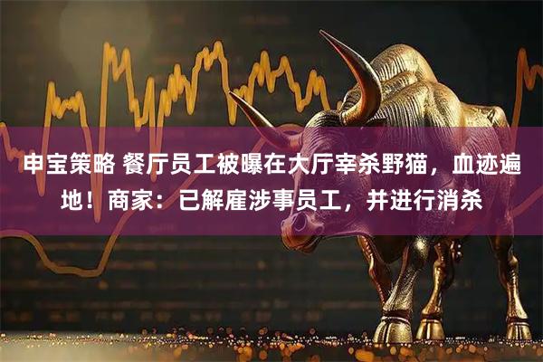申宝策略 餐厅员工被曝在大厅宰杀野猫，血迹遍地！商家：已解雇涉事员工，并进行消杀