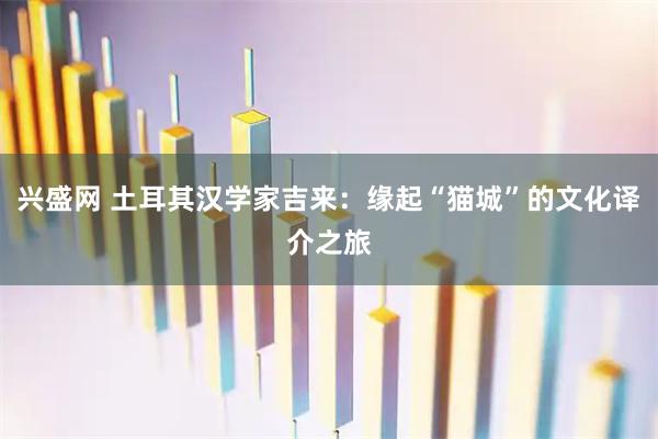 兴盛网 土耳其汉学家吉来：缘起“猫城”的文化译介之旅